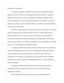 As Organizações, Sistemas e Métodos As Organizações, Sistemas e Métodos