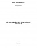 Avaliação Primária de Risco Avaliação Primária de Risco