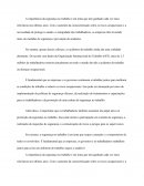 Relatório de Estágio Supervisionado PDF