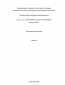 Resenha de Artigo Resenha de Artigo