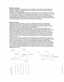 Rede de Transportes Rede de Transportes