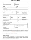 O Modelo De Plano De Trabalho O Modelo De Plano De Trabalho