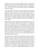 Resenha O Realismo Marginal, de Vera Malaguti Resenha O Realismo Marginal, de Vera Malaguti
