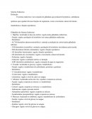 Glândulas do Sistema Endócrino Glândulas do Sistema Endócrino