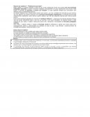 Resumo do Capítulo "Professores sem saber" Resumo do Capítulo "Professores sem saber"