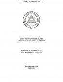 Relatório de Física Experimental da UFMG Relatório de Física Experimental da UFMG