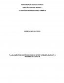 Questão Central Estratégia Organizacional Questão Central Estratégia Organizacional