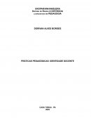 Praticas Pedagógicas: Identidade Docente Praticas Pedagógicas: Identidade Docente