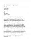 Flores de Corte Transformando o Caminho Rural Flores de Corte Transformando o Caminho Rural