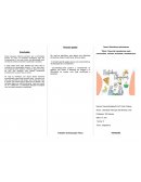 Trabalho De Inglês Trabalho De Inglês