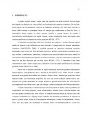 Análise Das Condições Termodinâmicas No Sul Da Amazônia Análise Das Condições Termodinâmicas No Sul Da Amazônia