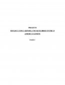 O Projeto Comportamental O Projeto Comportamental