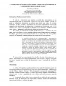 Reflexões sobre a participação eleitoral nas eleições de 2024 em Araputanga Reflexões sobre a participação eleitoral nas eleições de 2024 em Araputanga