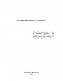 Relatório Parcial ao Curso de Formação Graduandos em Matemática Relatório Parcial ao Curso de Formação Graduandos em Matemática