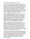 Anúncios Eficientes nos Estados Unidos e em Portugal Anúncios Eficientes nos Estados Unidos e em Portugal