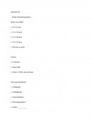 O Questionário de Mapeamento O Questionário de Mapeamento