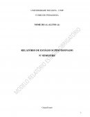Relatório de Estágio apresentado à Universidade Paulista Relatório de Estágio apresentado à Universidade Paulista