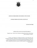 Teoria Psicanalítica De Sigmund Freud Teoria Psicanalítica De Sigmund Freud