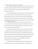 As Interações Sociais E O Capitalismo As Interações Sociais E O Capitalismo