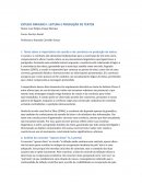 Coesão e Coerência Coesão e Coerência