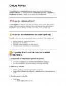 A Cintura Pélvica A Cintura Pélvica