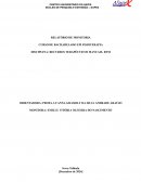 Relatório de Monitoria Relatório de Monitoria