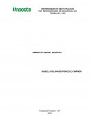 Ambiente Laboral Saudável Ambiente Laboral Saudável