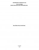 Relatório de Estágio Apresentado a Universidade Relatório de Estágio Apresentado a Universidade