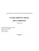 O Planejamento Anual O Planejamento Anual