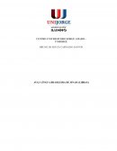 A Língua Brasileira de Sinais A Língua Brasileira de Sinais