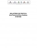 O Plano Alimentar O Plano Alimentar