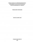 O Técnico de Segurança O Técnico de Segurança