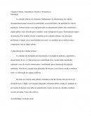 Calçadas Urbanas: Importância, Desafios e Perspectivas Calçadas Urbanas: Importância, Desafios e Perspectivas