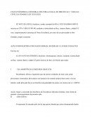 Petição Inicial Ação Indenizatória Petição Inicial Ação Indenizatória