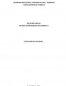 Relatório final de na Farmácia de Manipulação Relatório final de na Farmácia de Manipulação