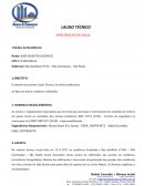 O Laudo Inspeção O Laudo Inspeção