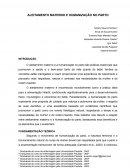 Aleitamento Materno E Humanização No Parto Aleitamento Materno E Humanização No Parto