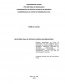 Exemplo de Relatório de Estagio Exemplo de Relatório de Estagio