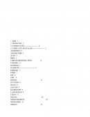 Velas Especiais Velas Especiais