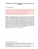 Adequações Do Fluxo De Atendimento De Uma Usafa Adequações Do Fluxo De Atendimento De Uma Usafa